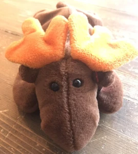 TY Beanie Baby Chocolate the Moose - Picture 1 of 10
