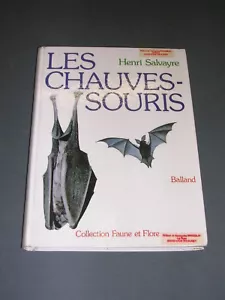Chauve Souris H. Salvayre les chauves-souris 1980 etude illustrée - Bild 1 von 1