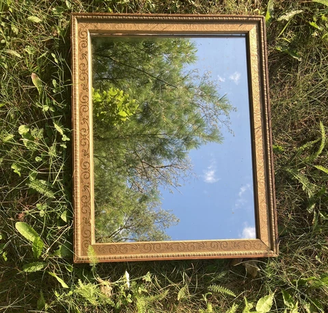 Antique French Napoleon Embossed Gilt Mirror w/ Original Glass. 19th Century Cover