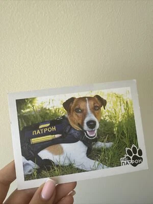 New Stamp! DOG PATRON MINESWEEPER  First day postcard Kyiv Ukraine 2022 - Image 1 of 3