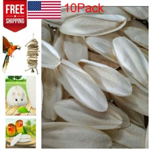 70Pcs Cuttlebone Cuttlefish Bone Sepia Cuttle Fish Pet Bird Food Calcium Set US - Picture 1 of 12