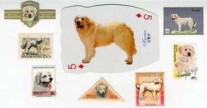 SELLOS POSTALES Y BANDA DE TARJETAS DE JUEGO COLECCIONABLES PARA PERROS COLECCIÓN - Imagen 1 de 1