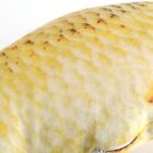 Carp Fish Shape Simulation Cushion Throw Pillow Children Gift New