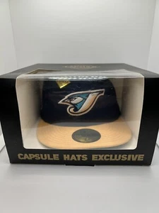 Capsule Mützen FNF Oceanside Collection Toronto Blue Jays Größe 7 3/8 - Bild 1 von 4