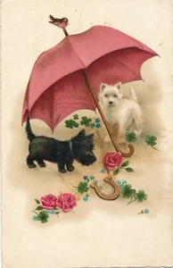 Motiv - Karte von zwei Hunden mit Regenschirm Ansichtskarte (10373) - Imagen 1 de 2