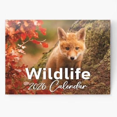 2026 British Wildlife Calendar Wall Monthly Planner Family Home Organiser - Image 1 of 4