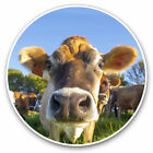 2 x Vinyl Stickers 15cm - Funny Cow Farm Farmer Animal Cool Gift #3779