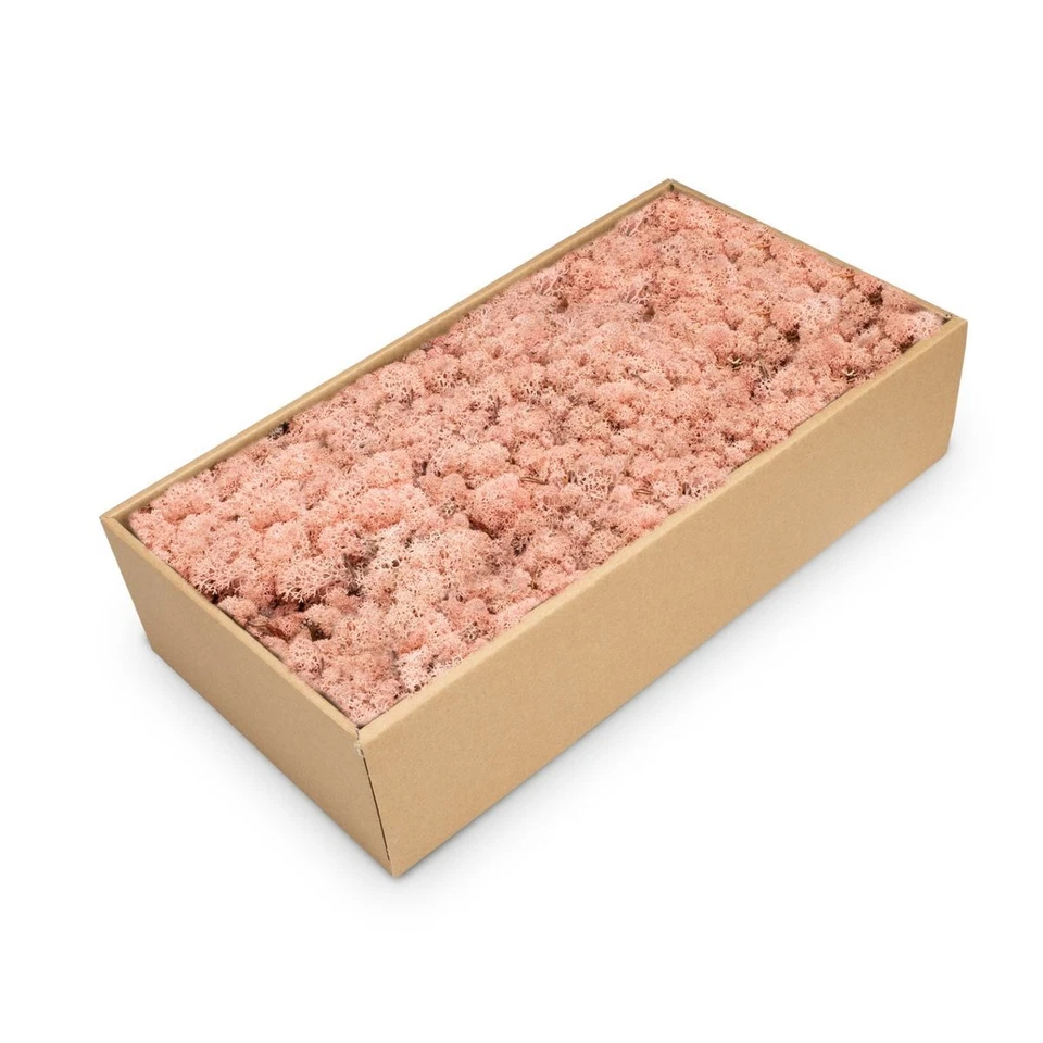 NaDeco Islandmoos pink 500g | Rentier Moos | Deko Moos | Bastel Moos