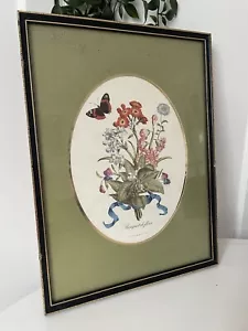 Vintage französischer botanischer Aquarell Druck Joseph Karrel gerahmt Blumen Landhaus Kunst - Bild 1 von 7