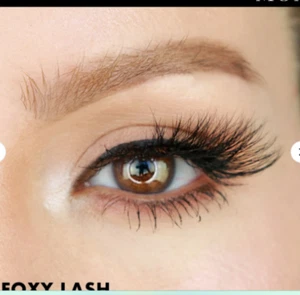 Nuevo MOXIELASH FOXY LASH Pestañas Magnéticas Imitación Reutilizables 5 Imanes SIN PEGAMENTO - Imagen 1 de 3