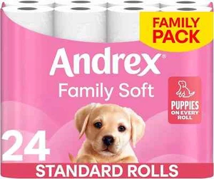 Andrex Family Soft Toilet Paper 24 Rolls (Previously Andrex Gentle Clean) Gentle - Picture 1 of 6