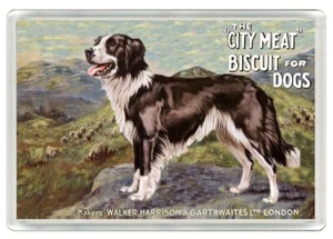 BORDER COLLIE HUNDEFUTTER WERBUNG KUNSTDRUCK NEUHEIT KÜHLSCHRANKMAGNET TOLLES GESCHENK - Bild 1 von 1