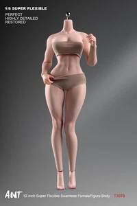 ANT 1/6 T307 Pale Skin Fitness Plump muscle Bust Girl Female Action Figure Body - Picture 1 of 22