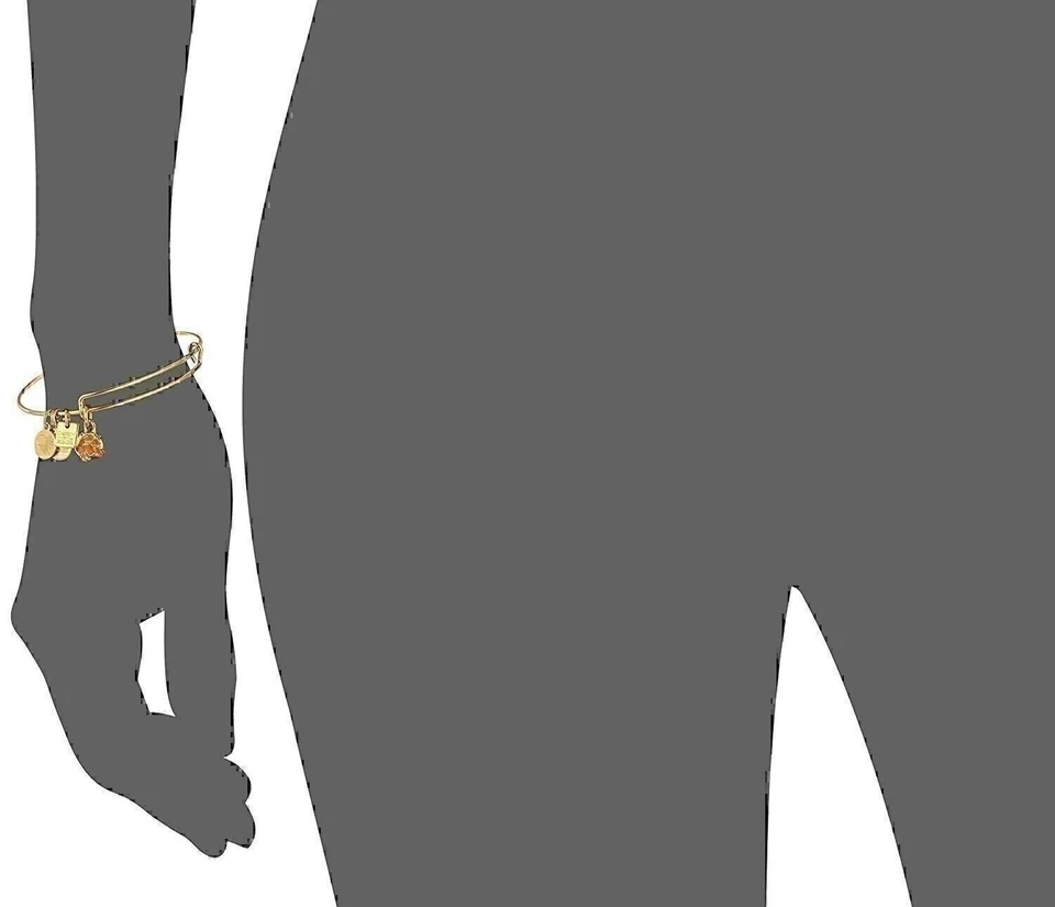 Alex and Ani Hermit Crab Expandable Shiny Gold Bangle Bracelet Nwtbc