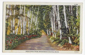 Waterboro Center Maine Greetings ME Linen Vintage Postcard - Picture 1 of 2