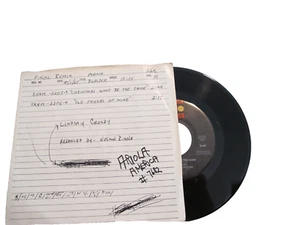 45 RECORD - LINDSAY CROSBY - CHRISTMAS WON'T BE THE SAME - Imagen 1 de 1