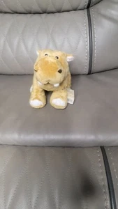 Ganz Webkinz Mud Hippo Plush Code Tan Pink Eye Lids 8.5" Adventure Park Series - Picture 1 of 6