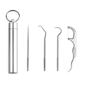4pcs Stainless Steel Toothpick Set Portable Dental Floss Storage Reusable - Picture 1 of 10