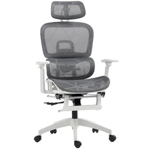 Sedia Ufficio Ergonomica Reclinabile Poggiapiedi Supporto Regolabile Rete Ruote Grigio - Foto 1 di 12