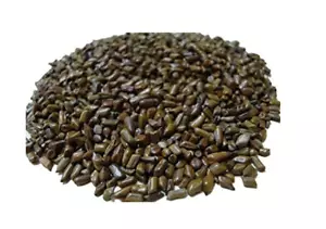 Bulk Cassia Tora Chakramard Chakvad Sickle Senna Seeds Foetid Cassia Tovara Seed - Bild 1 von 1