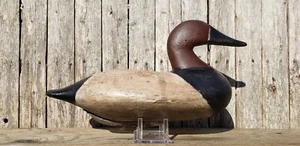 CA. 1920- 30's CANVASBACK DECOY SUSQUEHANNA RIVER MARYLAND MIXED EARLY & REPNT - Picture 1 of 15