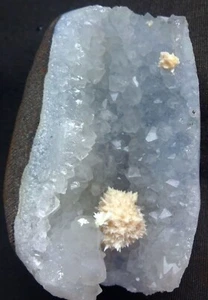 STUNNING OKENITE BALLS IN AMETHYST MATRIX SEMI GEODE ROCKS MINERALS SPECIMENS - Picture 1 of 3