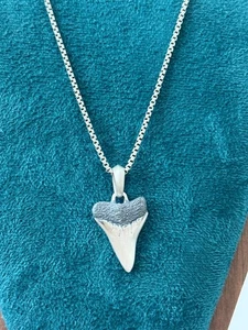 David Yurman Men's Plain Shark Tooth Sterling Silver Amulet with 22" Box Chain - Picture 1 of 4