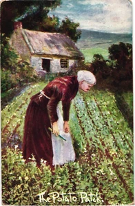Postal Tuck's Oilette VIDA IRLANDESA El parche de papa Agricultura Postal - Imagen 1 de 2