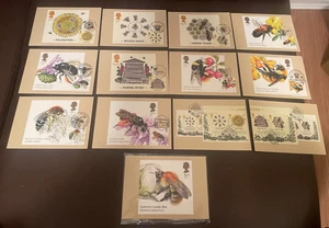 GB PHQ Karten Bienen 2015 Set 405. Sonderhandstempel vorne + 2020 Brill. Käfer neuwertig - Bild 1 von 1