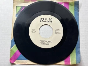 Randazza City Girls Rare Private RPM NJ Power Pop Punk Rock 45 - Picture 1 of 10