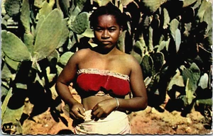 África Sur de Madagascar Figuiers de Barbarie Vintage RPPC B138 - Imagen 1 de 2