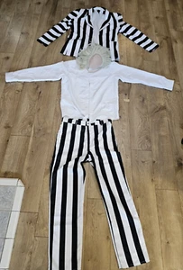 Beetlejuice 2 Striped Outfit Cosplay Costume Halloween Suit w/ Wig Used - Picture 1 of 14