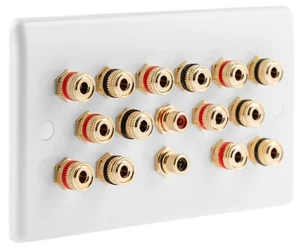 7.2 Slimline Audio AV Speaker Plate Gold 14 Binding Posts + 2 RCA's NON SOLDER - Picture 1 of 5