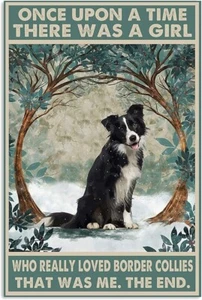 Magnete frigorifero Border Collie cane 3 1/2 x 4 1/2 - Foto 1 di 1