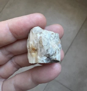 Sebkha el Melah 001 meteorite achondrite enstatite aubrite 13.4g - Picture 1 of 3