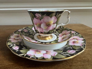 ROYAL ALBERT PROVINCIAL FLOWERS ALBERTA ROSE TASSE, UNTERTASSE & 8" TELLER 3-TEILIGES SET - Bild 1 von 10