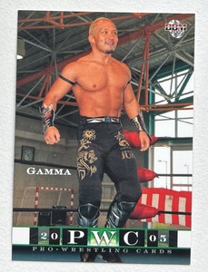 2005 BBM Pro Wrestling Gamma #227