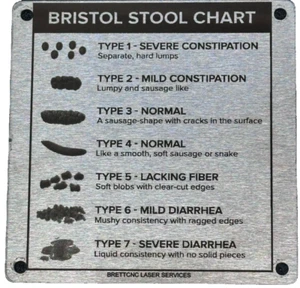 Bristol Stool Chart. 90mmx90mmx2mm Stainless Steel Sign. Laser Marked on Brushed - Picture 1 of 3