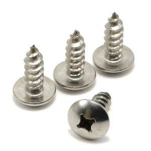 Stainless Screws for Ford Expedition License Plates (Set of 4, Silver) - Picture 1 of 3