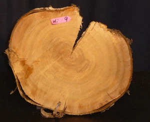 Kirsche ,Baumscheibe, Holzscheibe,Floristik,Tischplatte,basteln, 27x21x2cm a - Picture 1 of 2