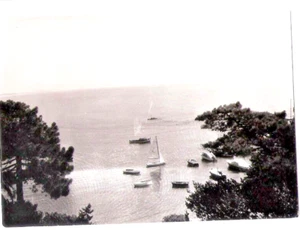 1959 CASTIGLIONCELLO : LOTTO 4 FOTO ORIGINALI RADA BAGNI AUSONIA SCOGLIETTO - Picture 1 of 6