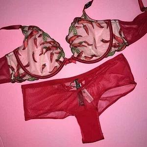 Victoria's Secret 32DDD,34B,34C,34DD,36C,36DDD BRA SET RED chili Peppers EMBROID - Picture 1 of 4