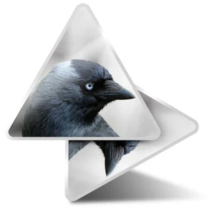 2 x Dreieck Aufkleber 7,5 cm - Dohlen Vogel schwarzer Vogel #21727 - Bild 1 von 9