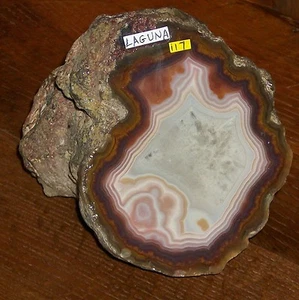 BOB HICKS RANCH OLD STOCK LAGUNA MEXICAN AGATE ESTACION MOCTEZUMA MONTAZUMA ROCK - Picture 1 of 11