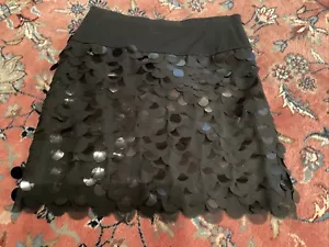 Ann Taylor Pailette Skirt, Size 6, New With Tags - Picture 1 of 3