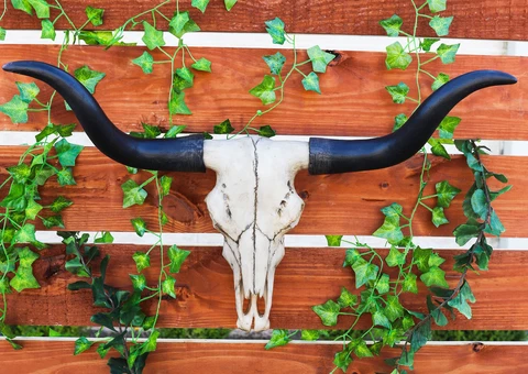Large 27"W Longhorn Cow Skull Wall Hanging Sculpture Plaque Wild Bull Steer Art Cover