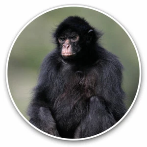 2 x Vinyl Stickers 20cm - Black Faced Spider Monkey Cool Gift #16398 - Photo 1/9