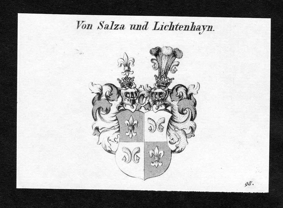 ca.1820 Salza Saltza Wappen Adel coat of arms Kupferstich antique print heraldry - Bild 1 von 1