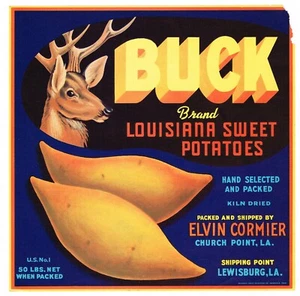 ORIGINAL SELTENE 50ER JAHRE YAMSWURZELKISTE ETIKETT BOCK HIRSCH HIRSCH LOUISIANA LEWISBURG   - Bild 1 von 1