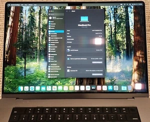 Apple MacBook Pro 16 in 2021 M1 Pro 32GB RAM 512GB SSD Touch ID Magic Mouse 59 - Picture 1 of 4